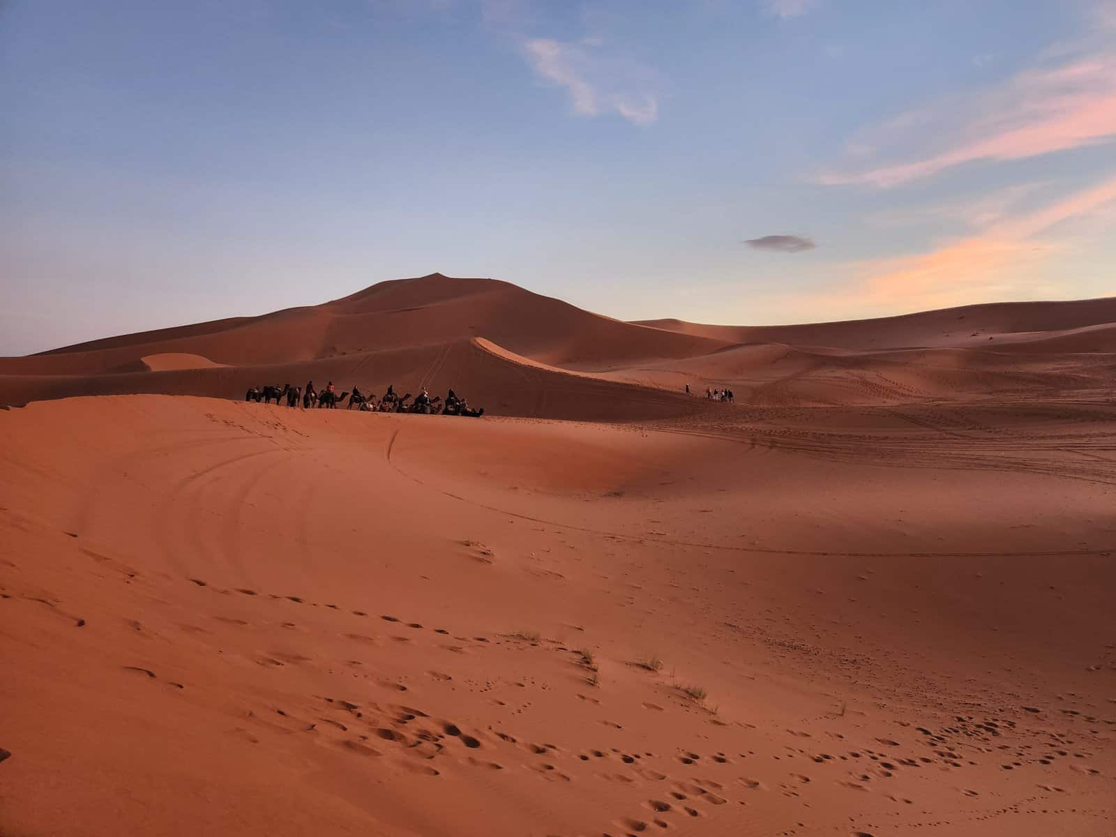 Morocco: Sahara Desert